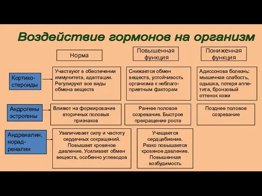 Норма Повышенная функция Пониженная функция Кортико- стероиды Участвуют в обеспечении