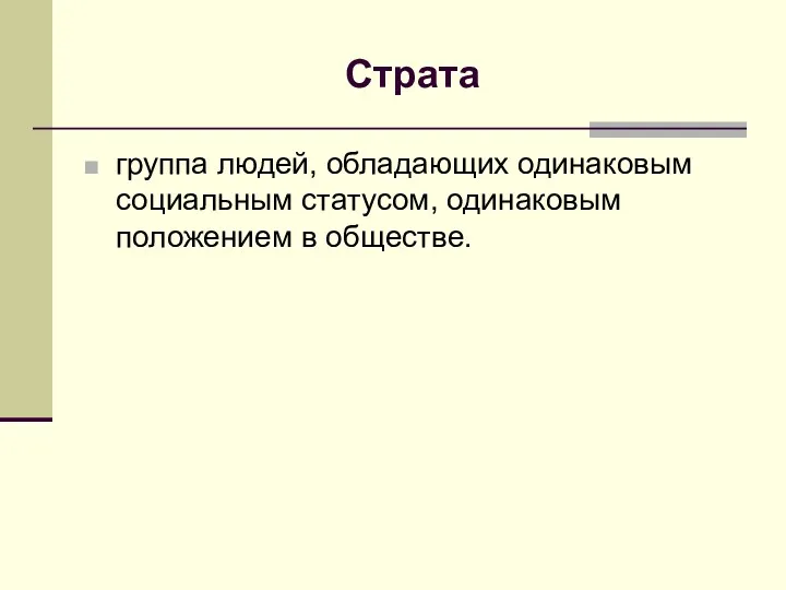 Страта группа людей, обладающих одинаковым социальным статусом, одинаковым положением в обществе.