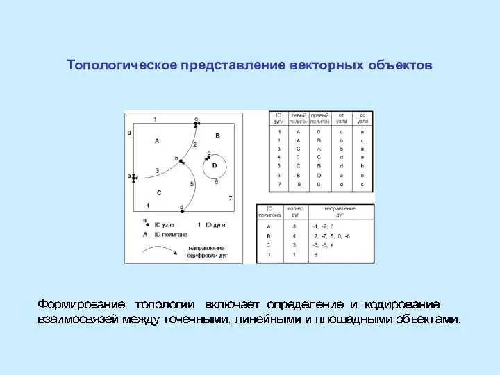 Топологическое представление векторных объектов