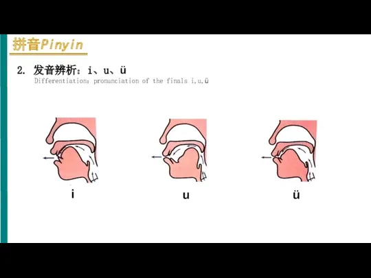 2. 发音辨析：i、u、ü Differentiation：pronunciation of the finals i,u,ü i u ü