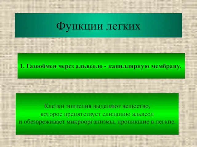 Функции легких 1. Газообмен через альвеоло - капиллярную мембрану. Клетки