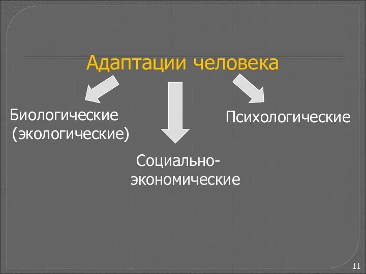 Социально-экономические Адаптации человека Биологические (экологические) Психологические