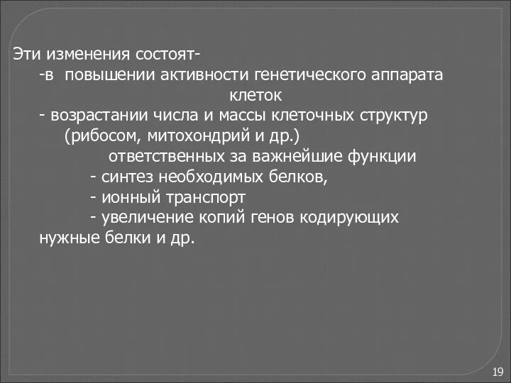 Эти изменения состоят- -в повышении активности генетического аппарата клеток -