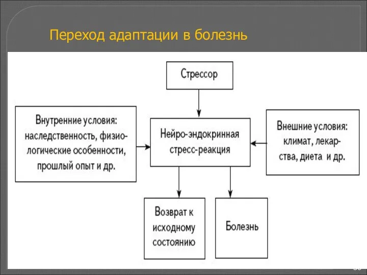 Переход адаптации в болезнь