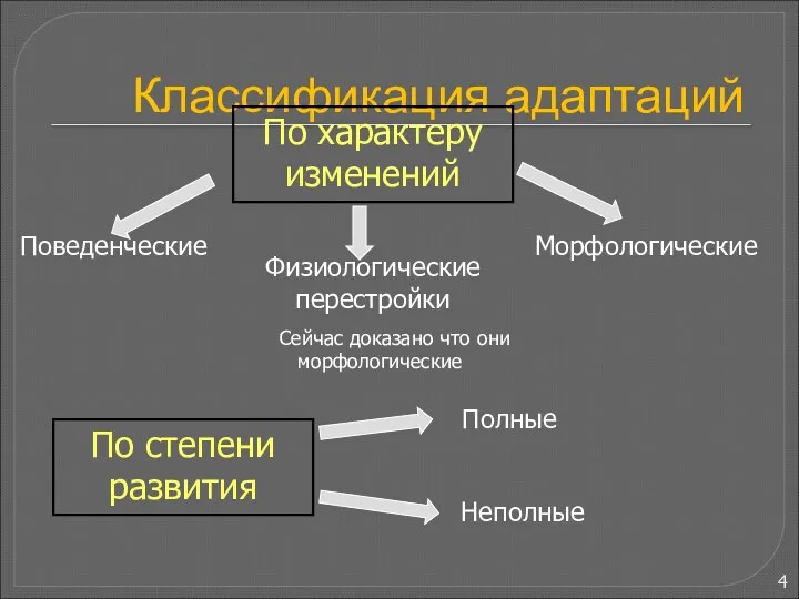 Классификация адаптаций Морфологические По характеру изменений По степени развития Полные