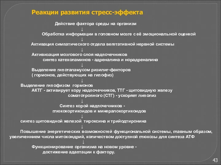 Реакции развития стресс-эффекта Действие фактора среды на организм ↓ Обработка