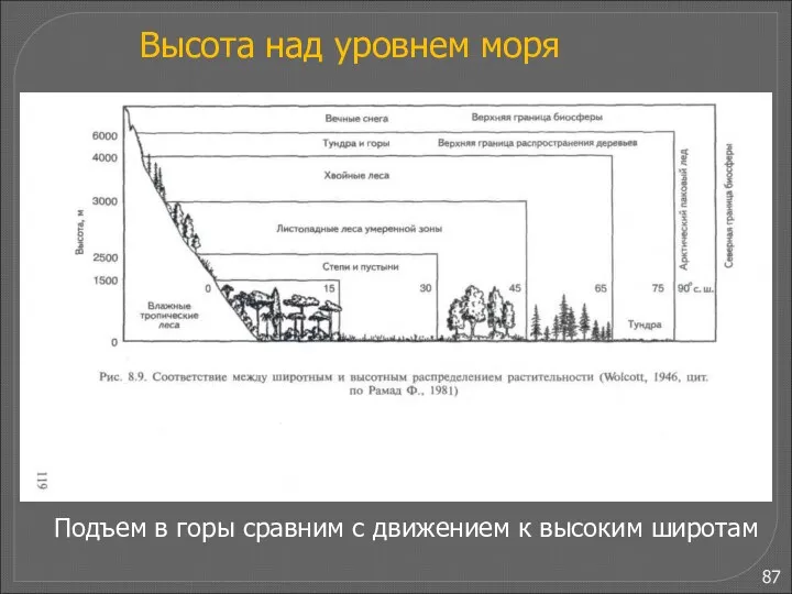 В развитии адаптаций выделяют несколько стадий (З.Меерсон, 1981). 1. Аварийная