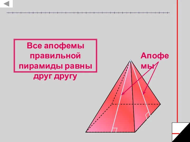 Апофемы Все апофемы правильной пирамиды равны друг другу