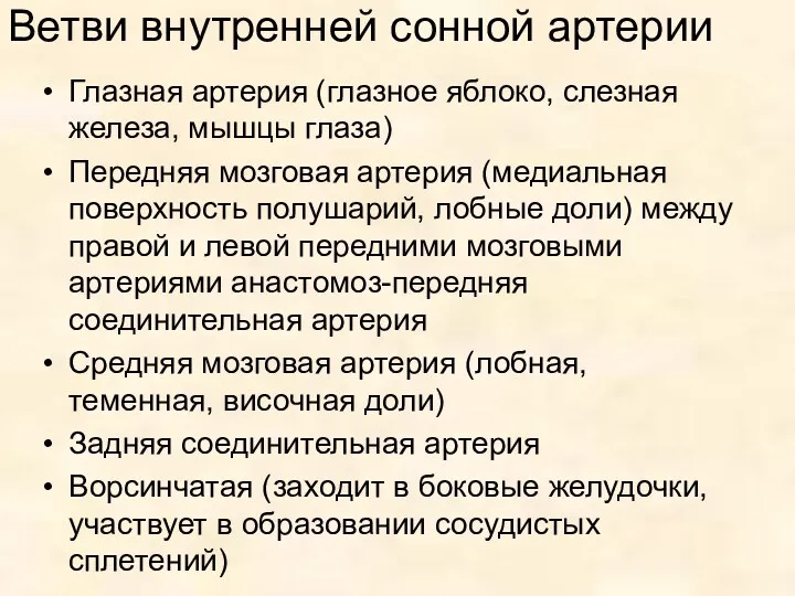 Ветви внутренней сонной артерии Глазная артерия (глазное яблоко, слезная железа,