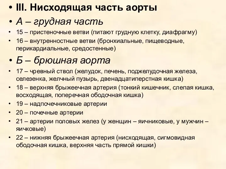 III. Нисходящая часть аорты А – грудная часть 15 –