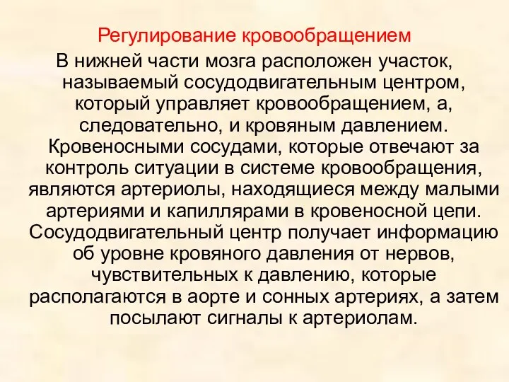 Регулирование кровообращением В нижней части мозга расположен участок, называемый сосудодвигательным