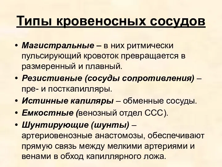 Типы кровеносных сосудов Магистральные – в них ритмически пульсирующий кровоток