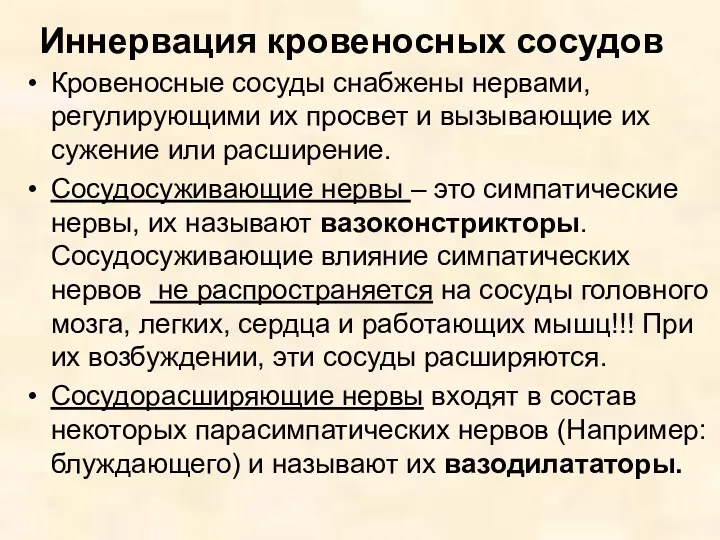 Иннервация кровеносных сосудов Кровеносные сосуды снабжены нервами, регулирующими их просвет