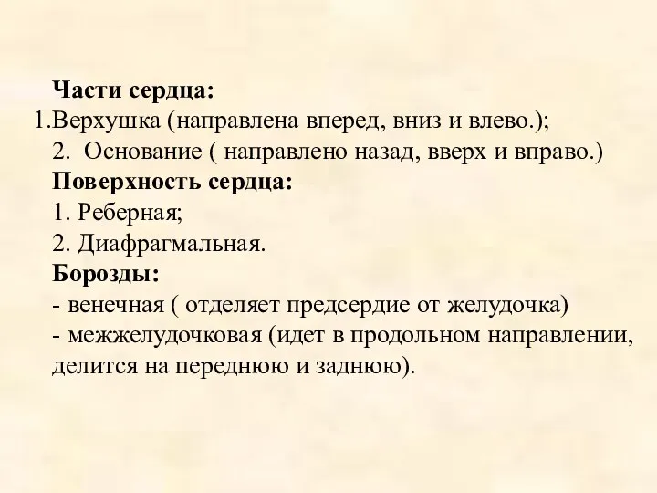 Части сердца: Верхушка (направлена вперед, вниз и влево.); 2. Основание