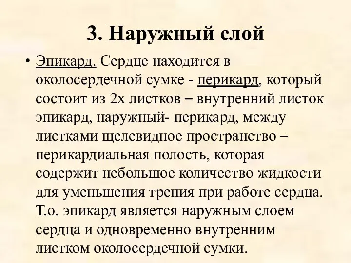 3. Наружный слой Эпикард. Сердце находится в околосердечной сумке -