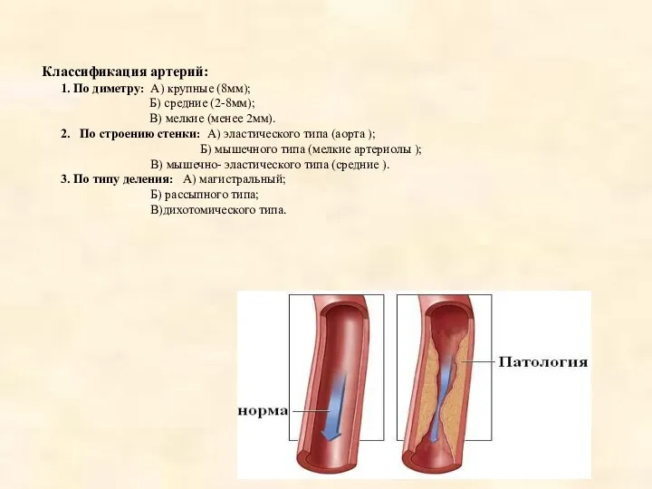 Классификация артерий: 1. По диметру: А) крупные (8мм); Б) средние