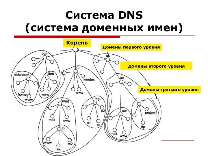 Система DNS (система доменных имен) Домены первого уровня Домены второго уровня Корень Домены третьего уровня kale