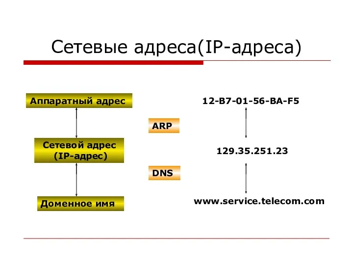 Сетевые адреса(IP-адреса) 12-B7-01-56-BA-F5 129.35.251.23 www.service.telecom.com ARP DNS Аппаратный адрес Сетевой адрес (IP-адрес) Доменное имя