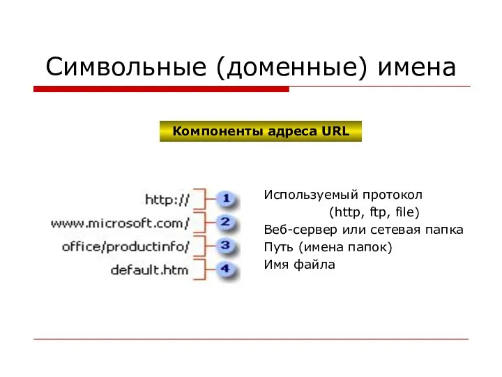 Символьные (доменные) имена Используемый протокол (http, ftp, file) Веб-сервер или сетевая папка Путь