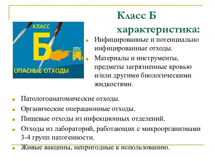 Класс Б характеристика: Патологоанатомические отходы. Органические операционные отходы. Пищевые отходы