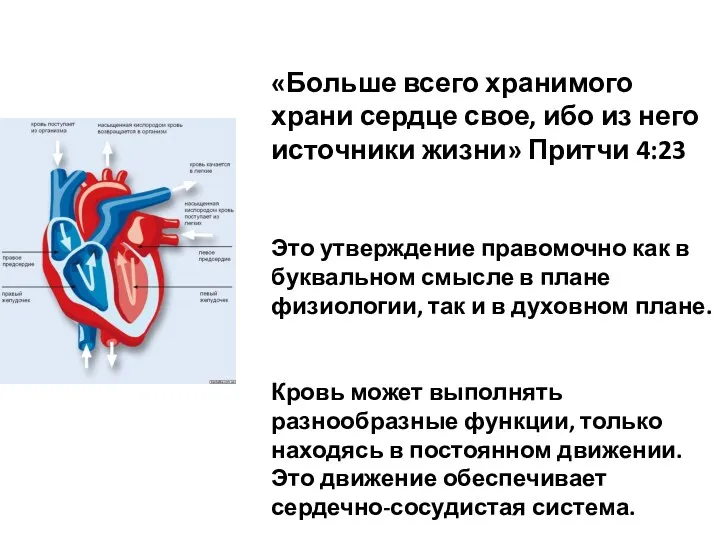 «Больше всего хранимого храни сердце свое, ибо из него источники жизни» Притчи 4:23