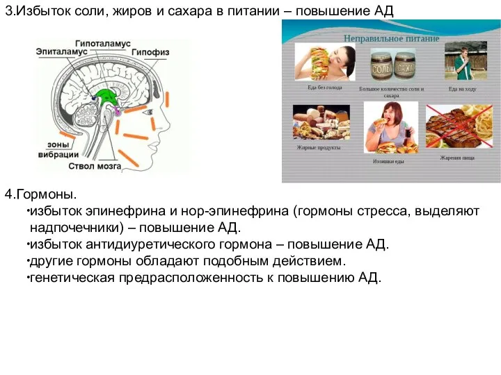 3.Избыток соли, жиров и сахара в питании – повышение АД 4.Гормоны. избыток эпинефрина