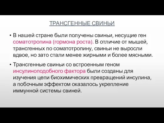 ТРАНСГЕННЫЕ СВИНЬИ В нашей стране были получены свиньи, несущие ген