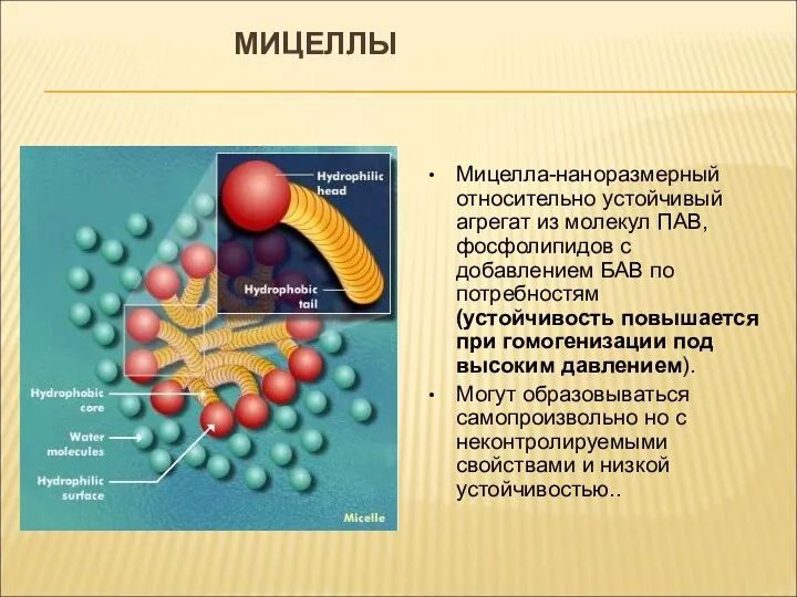 МИЦЕЛЛЫ Мицелла-наноразмерный относительно устойчивый агрегат из молекул ПАВ, фосфолипидов с