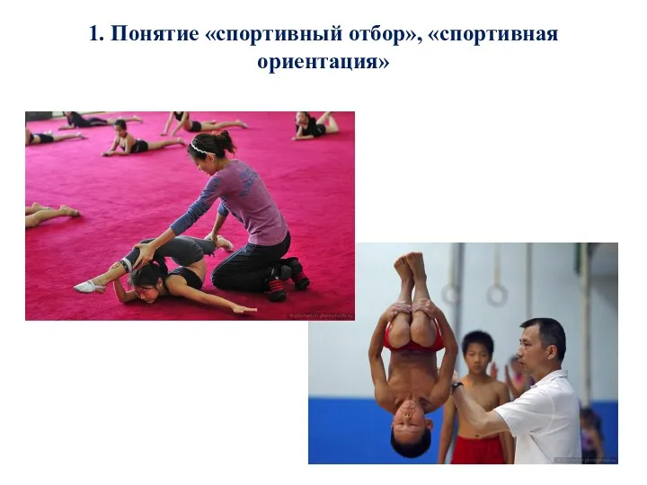 1. Понятие «спортивный отбор», «спортивная ориентация»