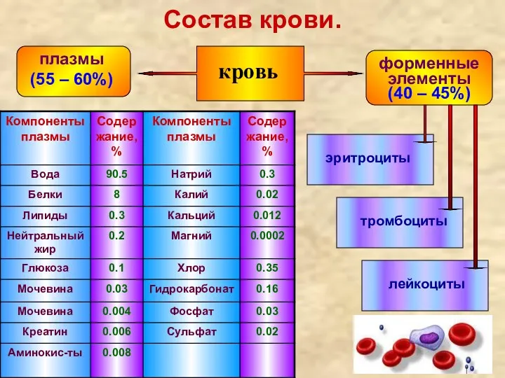 Состав крови. кровь плазмы (55 – 60%) форменные элементы (40 – 45%) эритроциты тромбоциты лейкоциты