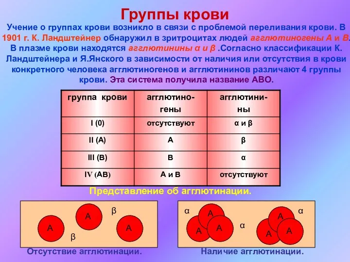 Группы крови Учение о группах крови возникло в связи с