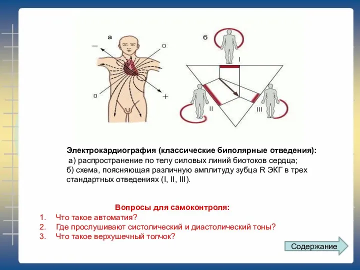 Электрокардиография (классические биполярные отведения): а) распространение по телу силовых линий