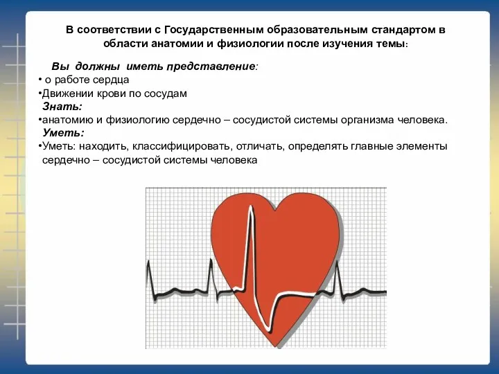 В соответствии с Государственным образовательным стандартом в области анатомии и