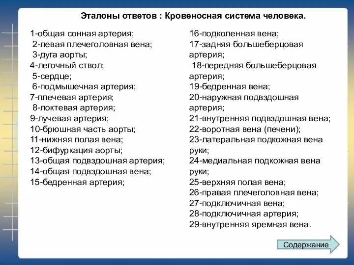 1-общая сонная артерия; 2-левая плечеголовная вена; 3-дуга аорты; 4-легочный ствол;