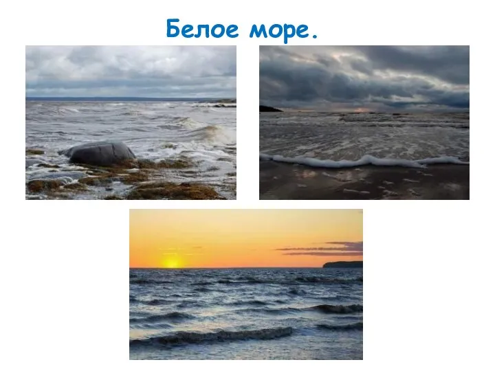 Белое море. о