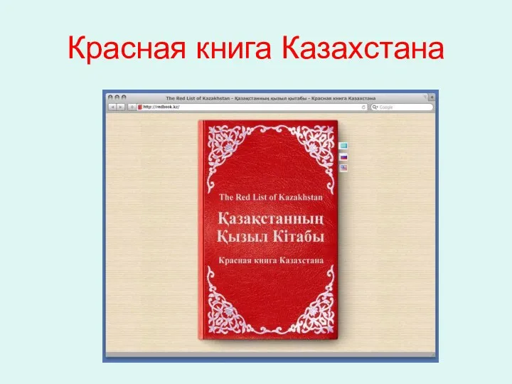 Красная книга Казахстана