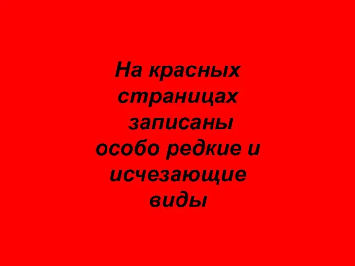 На красных страницах записаны особо редкие и исчезающие виды