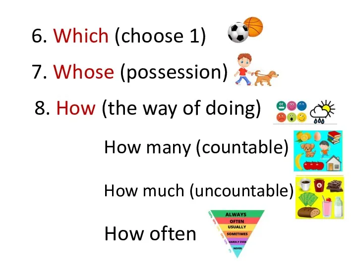 6. Which (choose 1) 7. Whose (possession) 8. How (the