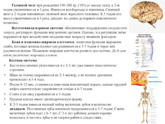 Головной мозг при рождении 350-380 гр. (10% от массы тела),