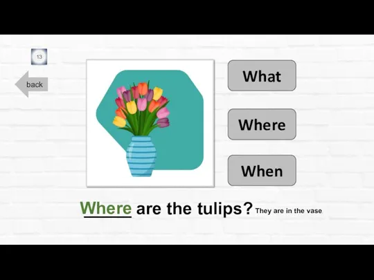 back _____ are the tulips? 13 Where When What Where They are in the vase.