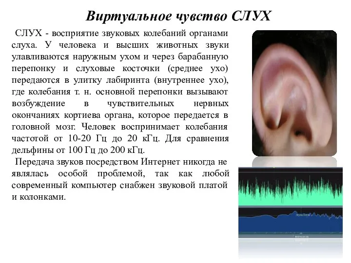 Виртуальное чувство СЛУХ СЛУХ - восприятие звуковых колебаний органами слуха.