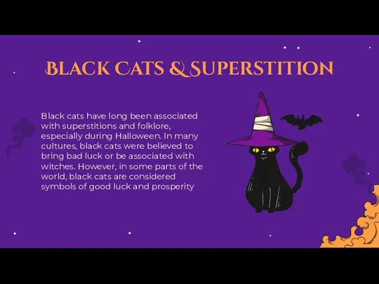 Black cats have long been associated with superstitions and folklore, especially during Halloween.