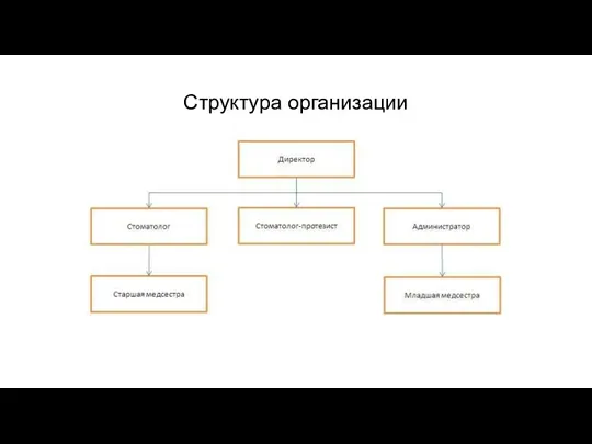 Структура организации