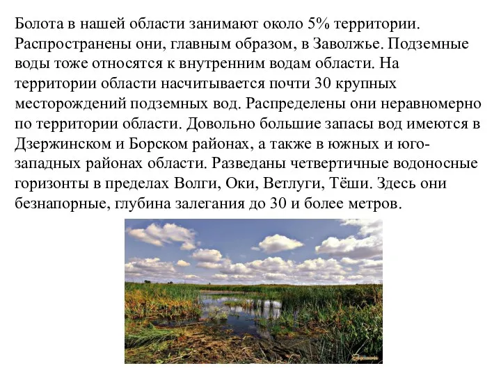 Болота в нашей области занимают около 5% территории. Распространены они,