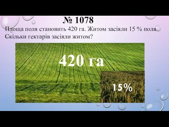 № 1078 Площа поля становить 420 га. Житом засіяли 15 % поля. Скільки