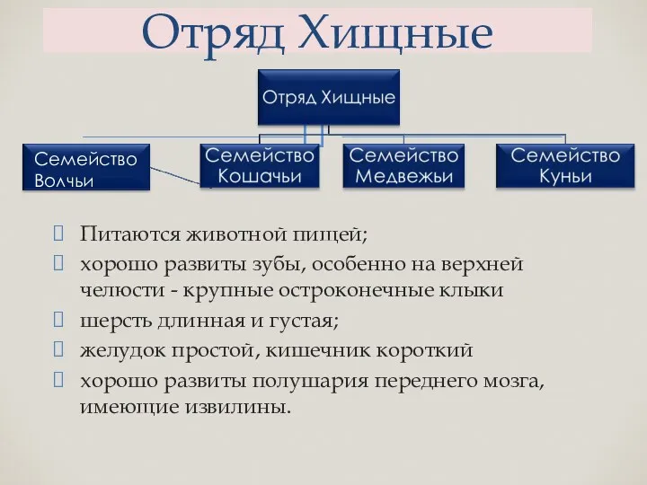 Питаются животной пищей; хорошо развиты зубы, особенно на верхней челюсти