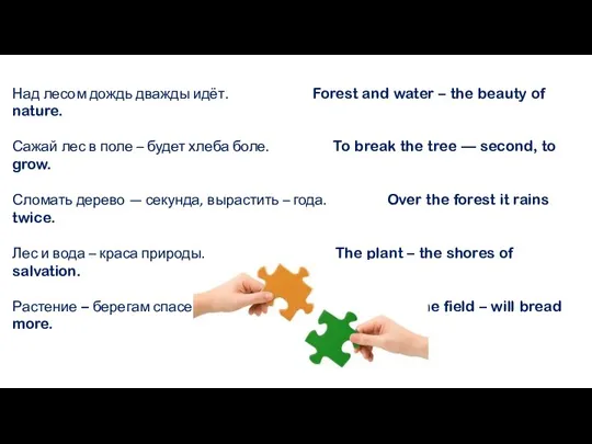 Над лесом дождь дважды идёт. Forest and water – the