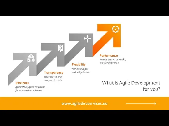 What is Agile Development for you? Efficiency quick start, quick response, focus on