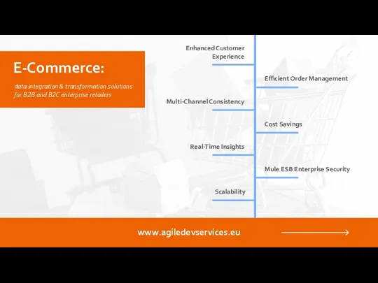 data integration & transformation solutions for B2B and B2C enterprise retailers E-Commerce: www.agiledevservices.eu