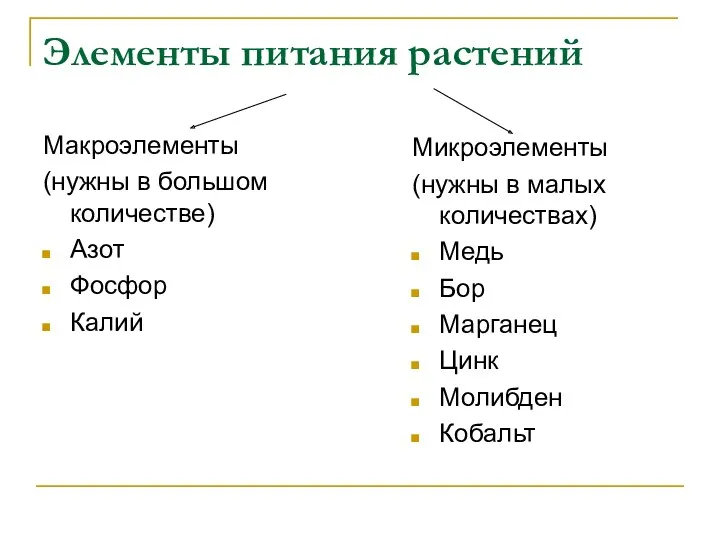 Элементы питания растений Макроэлементы (нужны в большом количестве) Азот Фосфор